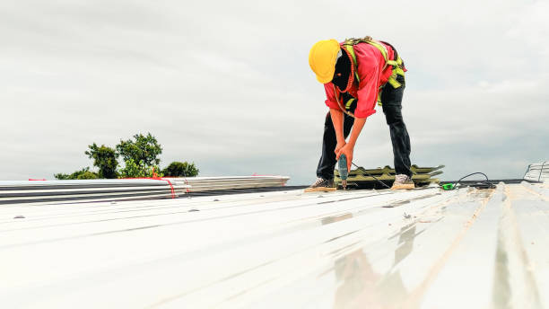 Best Solar Panel Roofing Installation  in Collinsville, AL