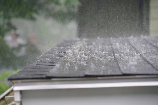 Best 4 Ply Roofing  in Collinsville, AL