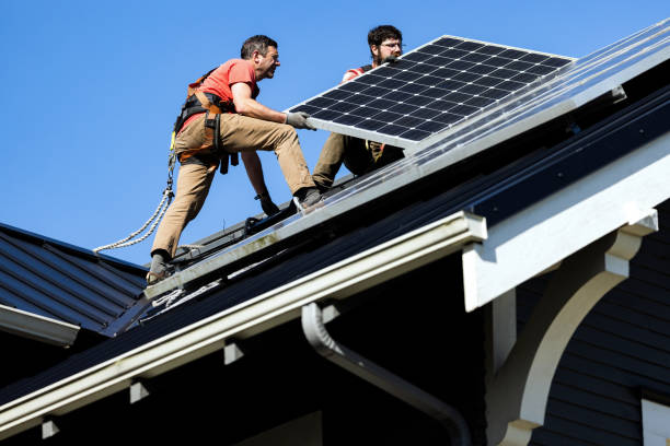 Best Roof Moss and Algae Removal  in Collinsville, AL
