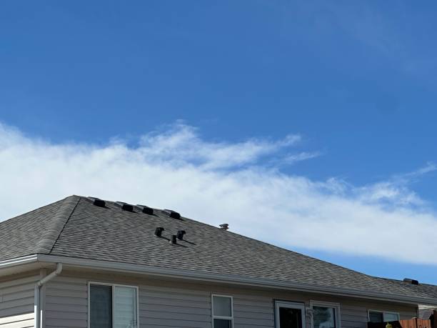 Best Gutter Installation and Repair  in Collinsville, AL